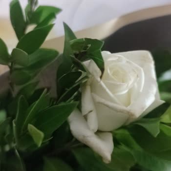 Çiçek Sepeti Solmuş Çiçek Gönderip İlgilenmiyor