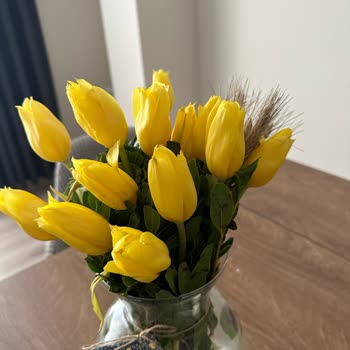 Taze Çiçek (tazecicek.com) Gönderilen Çiçek Görseldekine Benzemiyor.