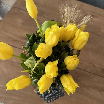 Taze Çiçek (tazecicek.com) Gönderilen Çiçek Görseldekine Benzemiyor.