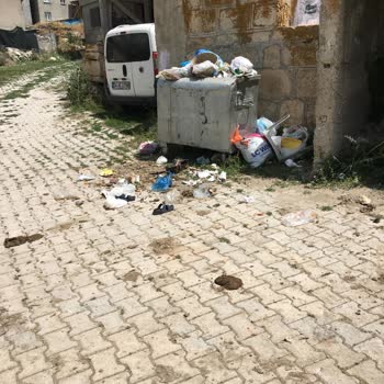 Aziziye Belediyesi Çevre Kirliliği Ve İnsan Sağlığı