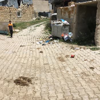 Aziziye Belediyesi Çevre Kirliliği Ve İnsan Sağlığı