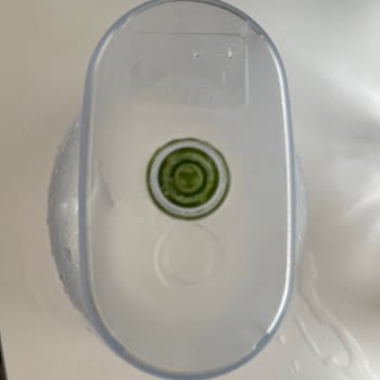 Brita Marella XL Filtreli Sürahi Yosun Sorunu