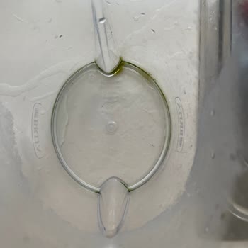 Brita Marella XL Filtreli Sürahi Yosun Sorunu