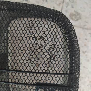 Dorello Bisiklet Defolu Çıktı!