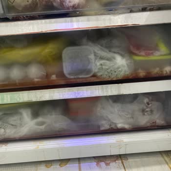 Arçelik Buzdolabı Bütün Yiyecekleri Bozuldu