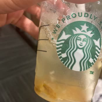 Starbucks Coffee Lezzetsiz İçeceklerin Sunumu