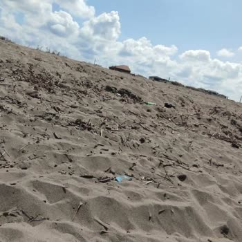 Karasu Belediyesi Yeni Mahalle Plajı Bakımı