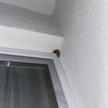 Bodrum'da En Kötü Otel Charm Beach Hotel