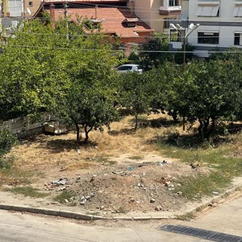 Narlıdere Belediyesi Molozları Kaldırmıyor, Çöpleri Almıyor