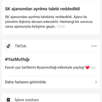 TikTok Ajansından Ayrılmak İstiyorum Redd Veriyorlar Sk Ajansı