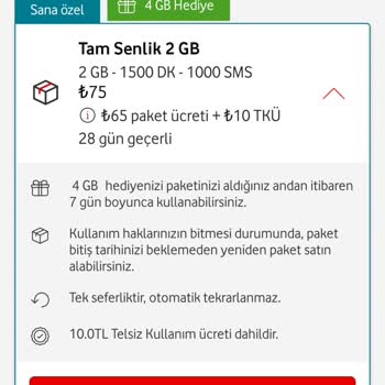 Vodafone Tam Senlik Kolay Paketinde İnternet Sorunu