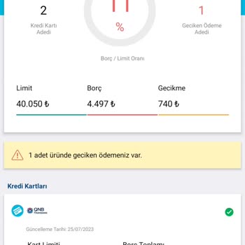 Findeks Raporumda Olmayan Borç Gözüküyor.