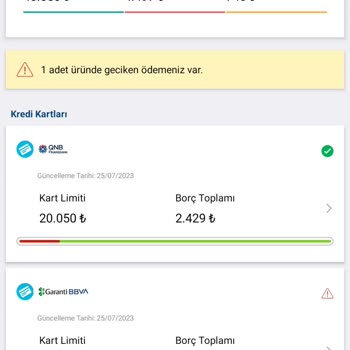 Findeks Raporumda Olmayan Borç Gözüküyor.