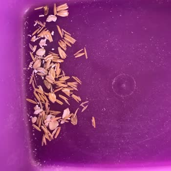 Eti Gıda Eti Yulaf Kabukları