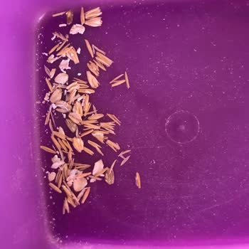 Eti Gıda Eti Yulaf Kabukları