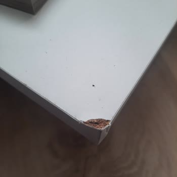 Koçtaş Ürünün Hasarlı Teslim Edilmesi