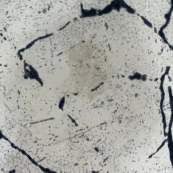 Yiğit Halı Yıkama Halım Yıkanmamış Verdiğim Gibi Geri Gelmiş Adeta