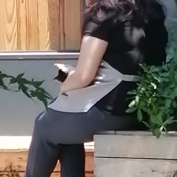 Marmara Forum AVM 'de (Bakırköy) Yemek Katında 50 Kedi Cirit Atıyor!