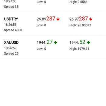 City Trade 300 USD Yi Vermiyorlar