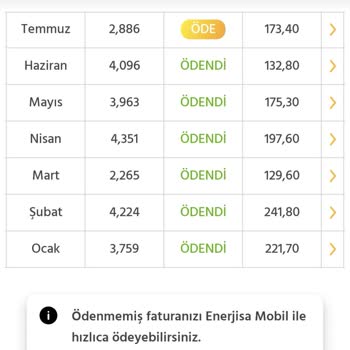 Enerjisa Başkent Elektrik Perakende Yüksek Fatura Gelmesi