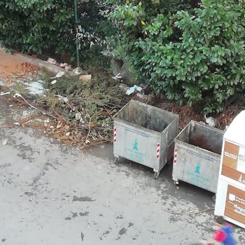 Sancaktepe Belediyesi Çöp Konteyner Etrafında Bulunun Budanmış Ağaçlar