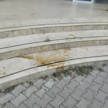 Grand Şahin's Gümüldür Resort Grands Şahin Gümüldür Resort Hizmet Kalitesi
