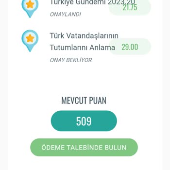 Eşzamanlı Anket Ödeme Talebimi Dikkate Almıyor.