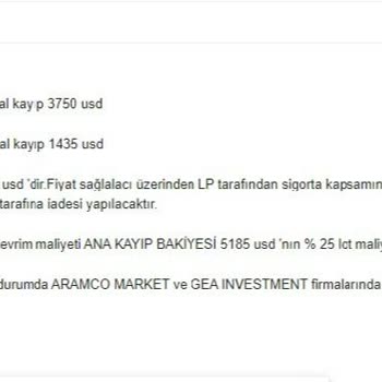 Gaea Investment Hesap Patlattı!