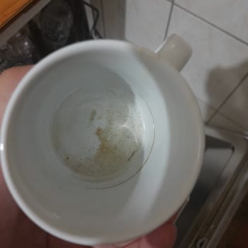 Vestfrost Leke Çıkartmayan Kir Bırakan Bulaşık Makinesi