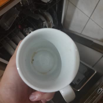 Vestfrost Leke Çıkartmayan Kir Bırakan Bulaşık Makinesi