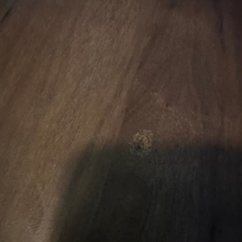 Vivense Balkon Oturma Grubu Hüsranı