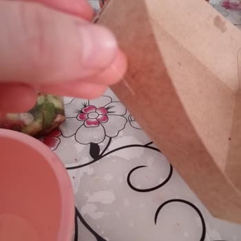 Köfteci Yusuf Piyade Şube İşletmesinin Köftesinden Kıl Çıktı