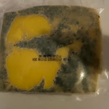 Tarım Kredi Kooperatif Market Hiç Açılmadan Küflenen Peynir