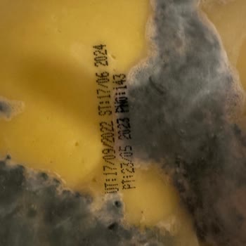 Tarım Kredi Kooperatif Market Hiç Açılmadan Küflenen Peynir