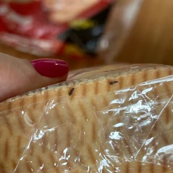 Eti Gıda Eti Finger Böcekli Bisküvi