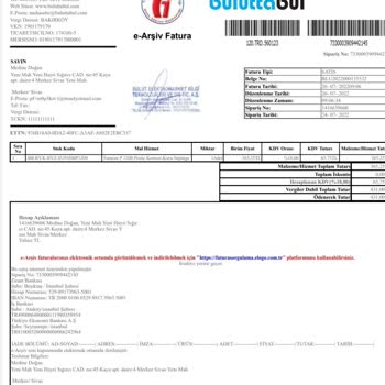 Fantom Dik Süpürge Arızası