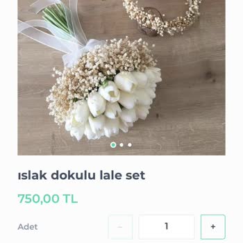 Shopier Sipariş Sorunu