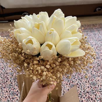 Shopier Sipariş Sorunu