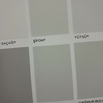 Marshall Gelin Teli Lila Çıktı