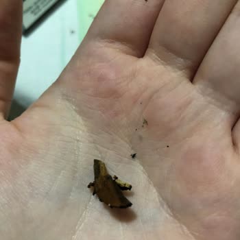 Marlboro Touch Blue Dan Odun Çıktı