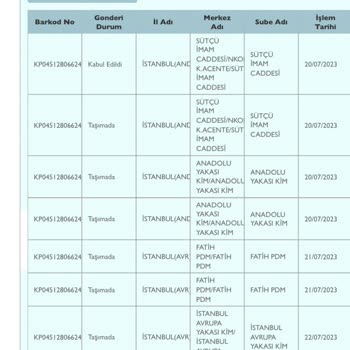 PTT Kargo Teslimat Süreci Ve Telefonla Ulaşamamak
