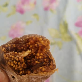 Otto Nuts Kuru İncirden Çıkan Böcek