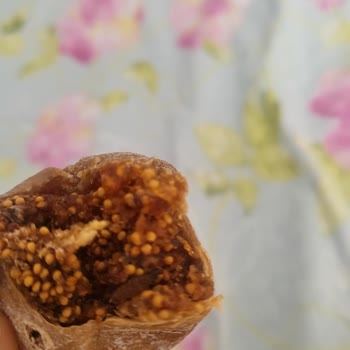 Otto Nuts Kuru İncirden Çıkan Böcek