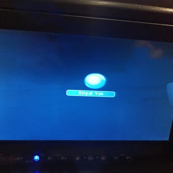 Ede Turizm Muavin Ve Otobüs