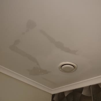 Seven Seas Sealight Elite 'te Her Yeni Güne Bir Problem!