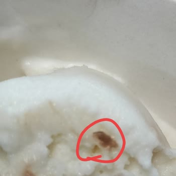 Kahve Dünyası Porsiyon Küçüklüğü & Dondurmadan Kıl Çıkması & Uygulama Sorunları