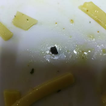 Tavada Tavuk Ürün Ve Çalışan Kalitesizliği