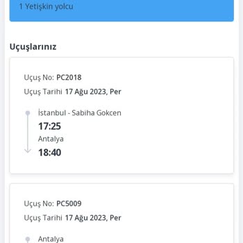 Pegasus Şirketi Uçak Bileti Sorunu