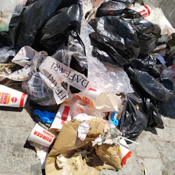 Burger King Çevreye Duyarsızlık Ve Temizlik