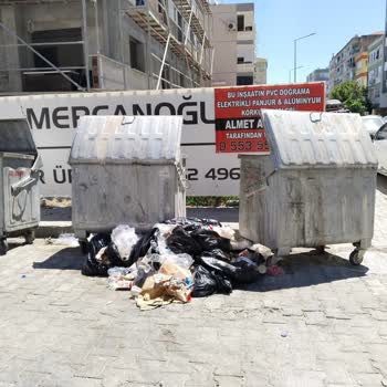 Burger King Çevreye Duyarsızlık Ve Temizlik